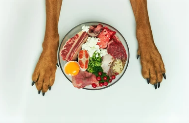 How Much Heart To Feed Dog