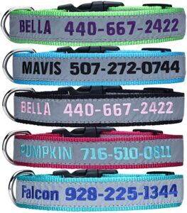 LovelyDog Embroidered Dog Collar Best For Personalized Customized