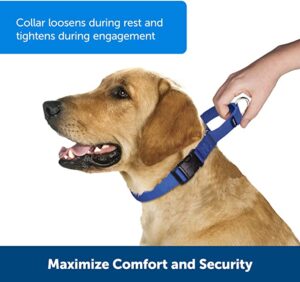 PetSafe Adjustable Martingale Collar with Buckle - Best For Budget