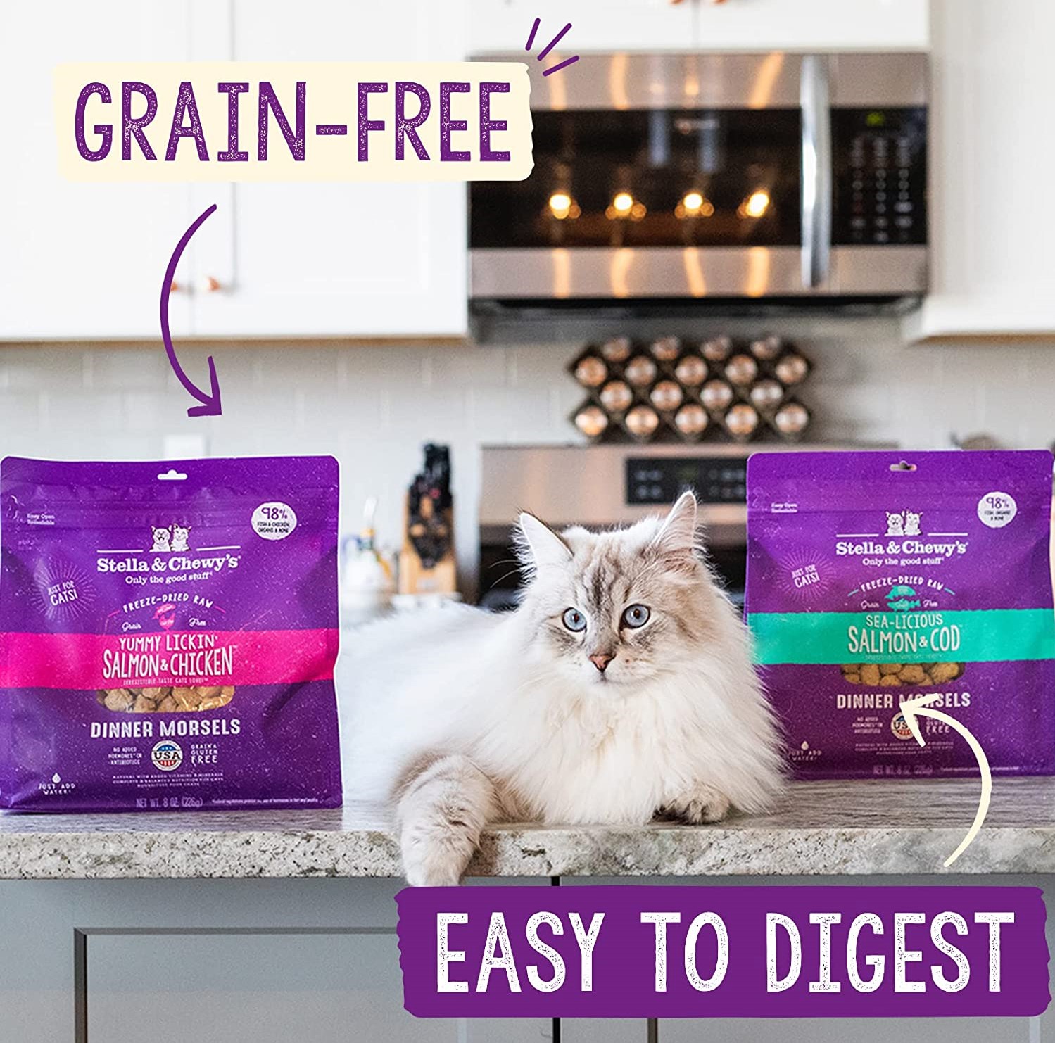 5 Best Cat Food For Ferrets That Suits Boosts Thrives 5-best-cat-food-for-ferrets-that-suits-boosts-thrives