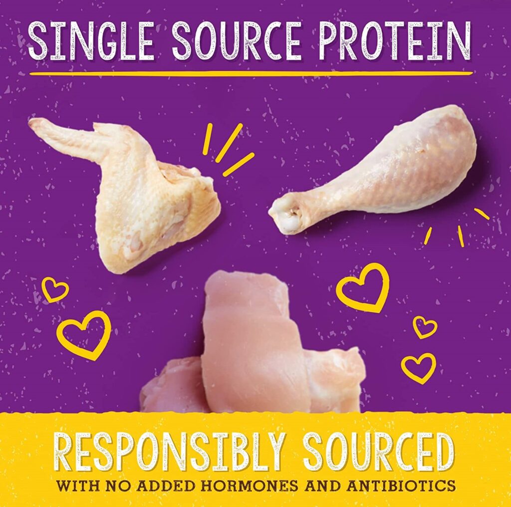 5 Best Cat Food For Ferrets That Suits, Boosts & Thrives