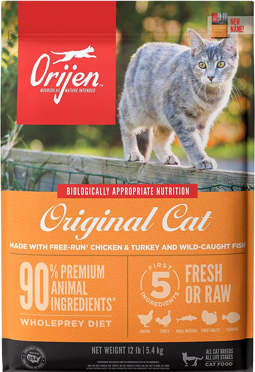 5 Best Cat Food For Ferrets That Suits, Boosts & Thrives