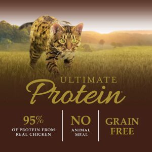 Instinct High Protein Dry Cat Food - Best For Sick Cat ( Hyperthyroid & Kidney)