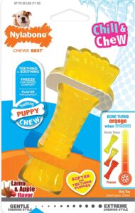 Nylabone Puppy Chew Freezer Mini-Toy