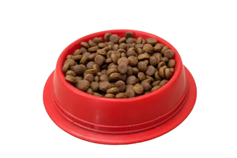 Vet Recommend 5 Best Cat Food With Taurine For Healthy Growth