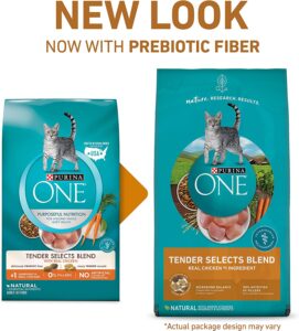 Purina ONE Dry Cat Food - Best For-Budget