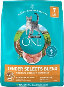 Purina ONE Dry Cat Food - Best For Budget
