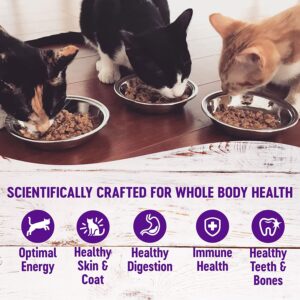 Wellness Wet Canned Cat Food - Best For Hydration