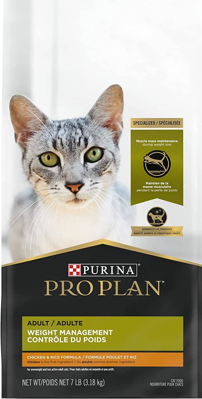 5 Best Purina Cat Food To Thrive & Vivid Coat