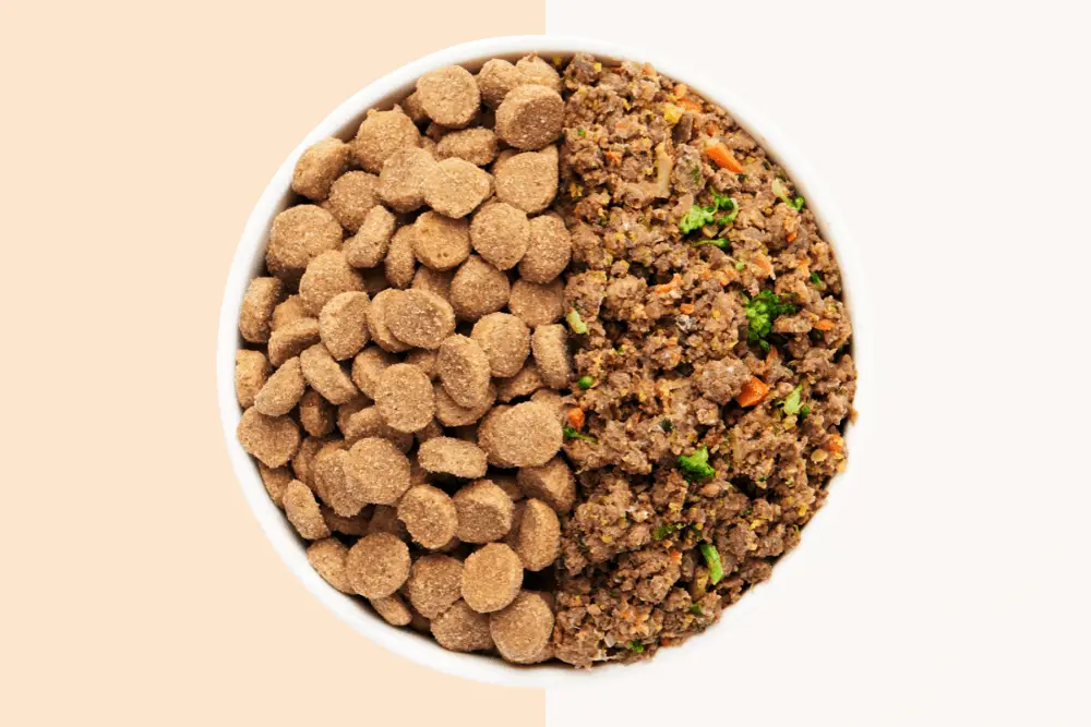 Easy Guide on How to Make Dog Kibble Smaller at Home