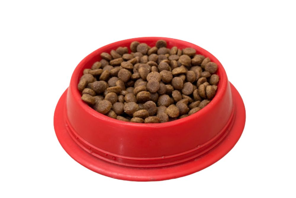 Best Dry Cat Food for Finicky Cats