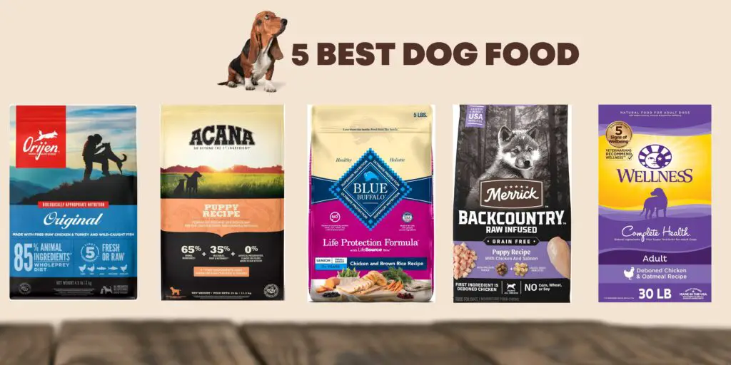 5 Best Dog Food