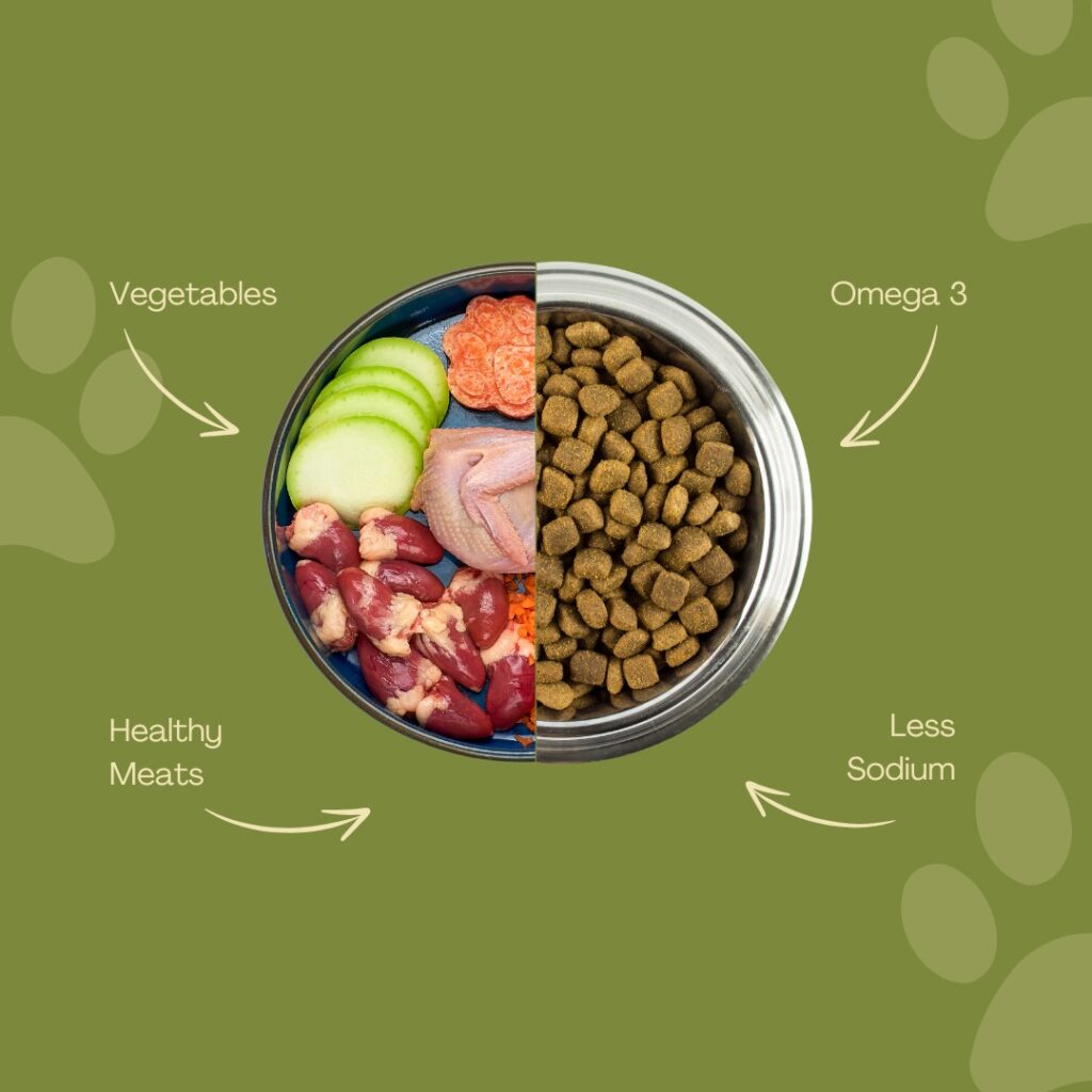 How Veterinarians Evaluate Dog Food Quality